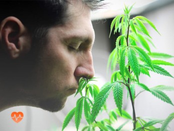 Детоксикация от марихуаны в Кирово-Чепецке